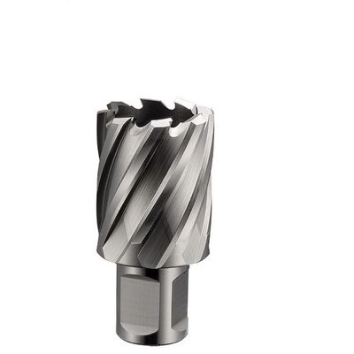 Giá tốt. 22mm * 50mm HSS Magnetic Drill Ringlar Cutters 50mm Độ sâu cắt Weldon Shank trực tuyến